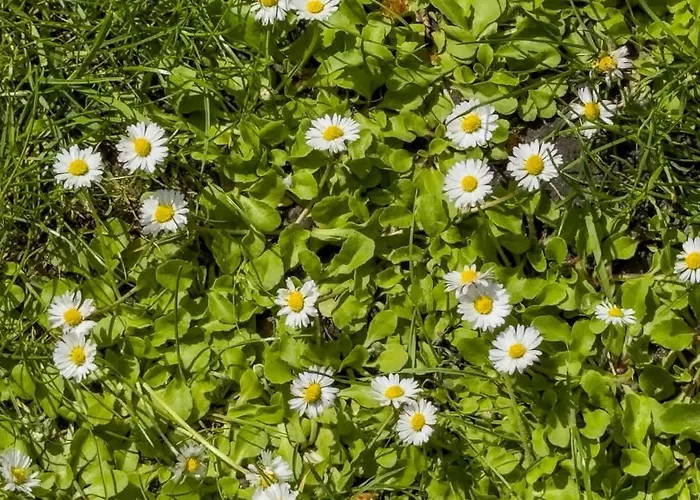 Konarskiego Blisko Jeziora Maltanskiego By Renters *